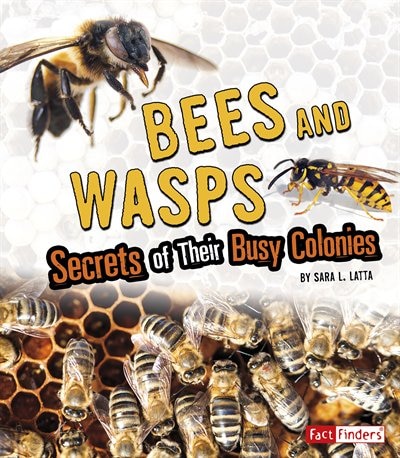 Couverture_Bees and Wasps