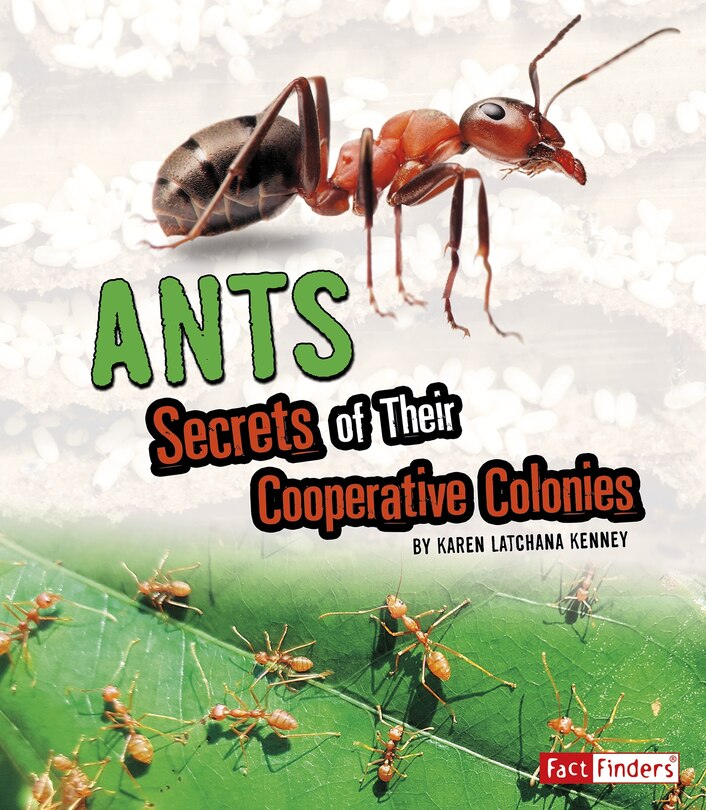 Couverture_Ants