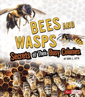 Couverture_Bees and Wasps