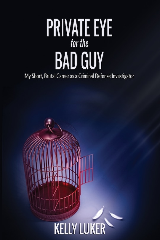 Couverture_Private Eye for the Bad Guy