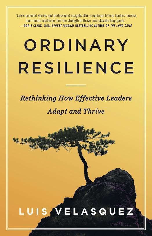 Front cover_Ordinary Resilience