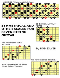 Couverture_Symmetrical and Other Scales for Seven String Guitar