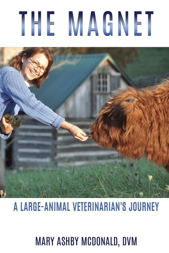 Front cover_The Magnet