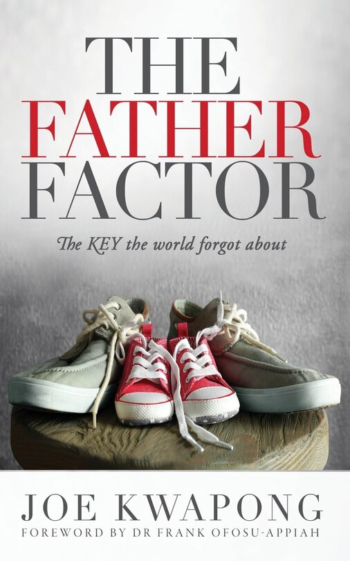 Couverture_The Father Factor The Key The World Forgot About