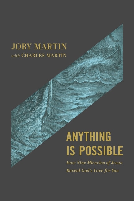 Couverture_Anything Is Possible