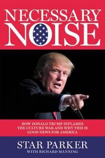 Front cover_Necessary Noise