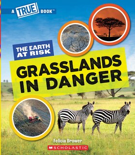 Front cover_Grasslands in Danger (A True Book: The Earth at Risk)