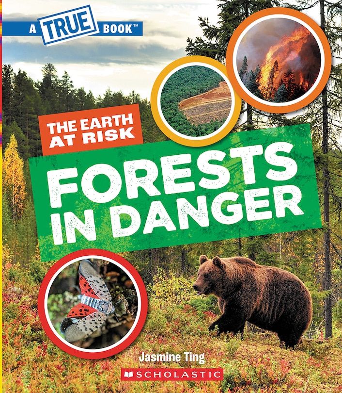 Front cover_Forests in Danger (A True Book: The Earth at Risk)