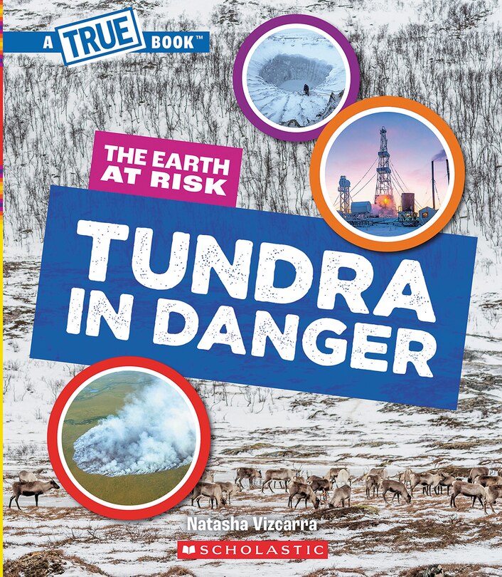 Front cover_Tundra in Danger (A True Book: The Earth at Risk)
