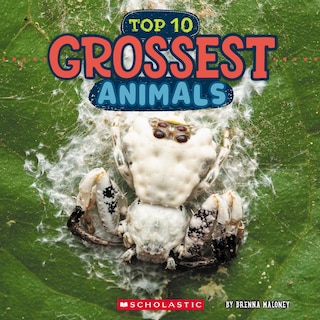 Couverture_Grossest Animals (Wild World: Top 10)
