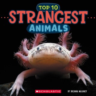 Front cover_Strangest Animals (Wild World: Top 10)