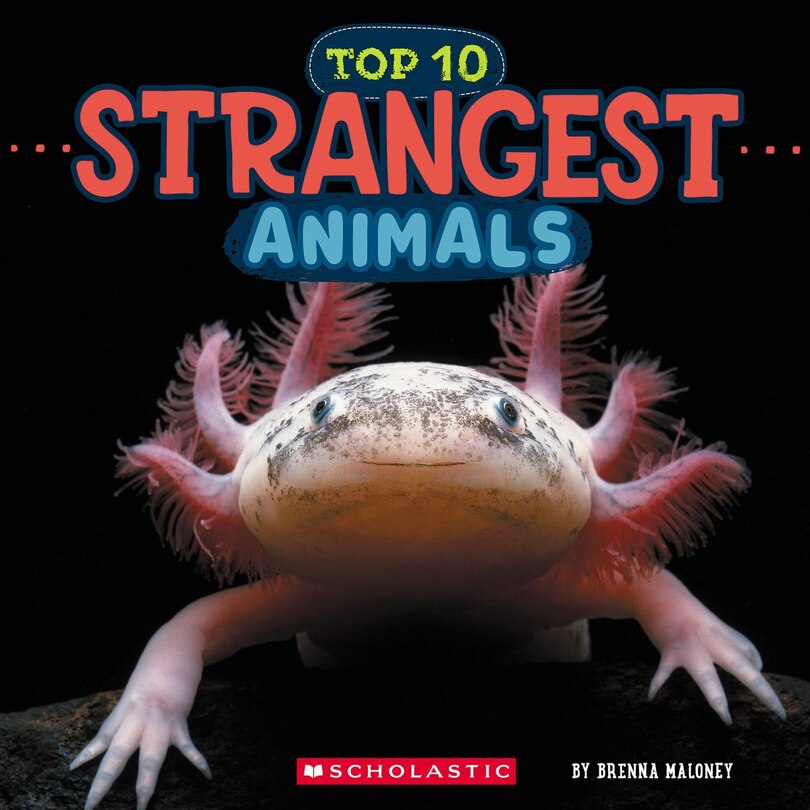 Front cover_Strangest Animals (Wild World: Top 10)