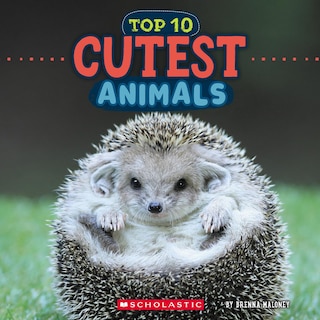 Front cover_Cutest Animals (Wild World: Top 10)