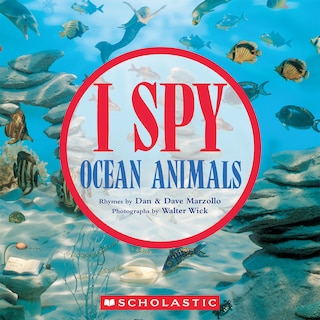 Front cover_I SPY Ocean Animals