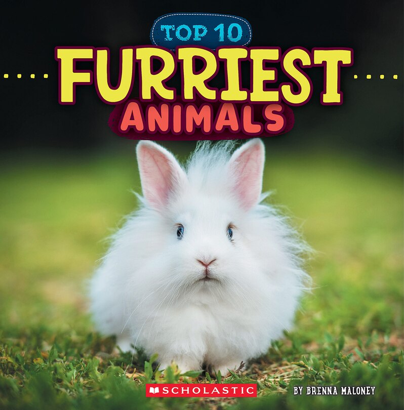 Front cover_Furriest Animals (Wild World: Top 10)