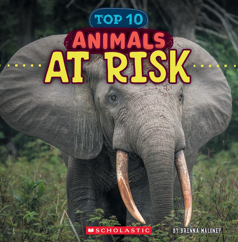 Couverture_Animals at Risk (Wild World: Top 10)