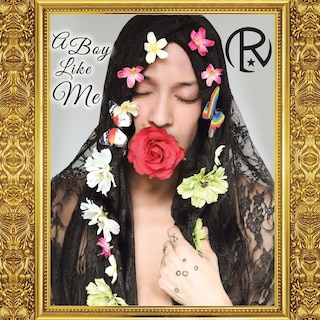 Couverture_A Boy Like Me