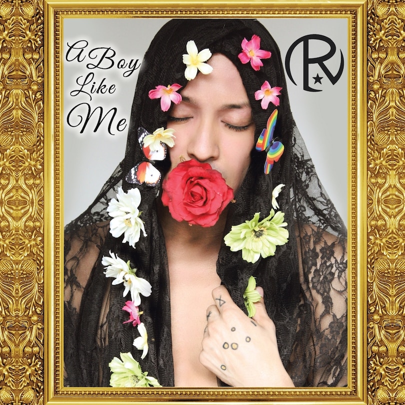 Couverture_A Boy Like Me