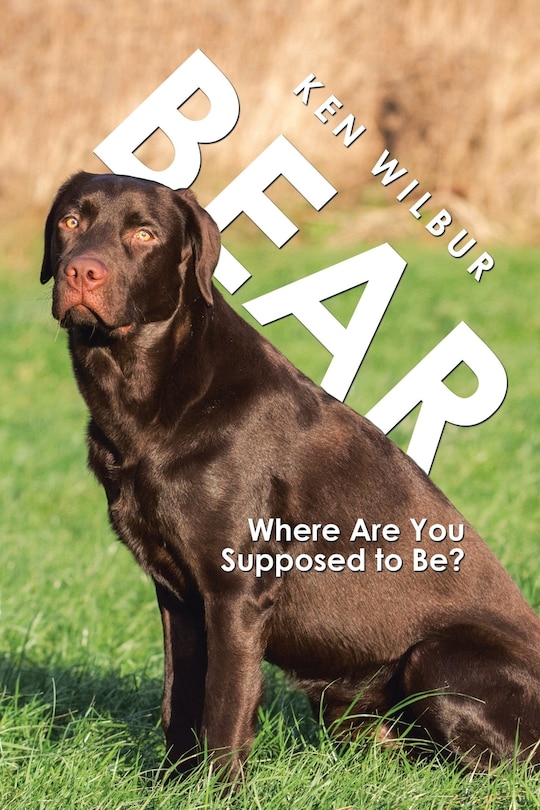 Front cover_Bear