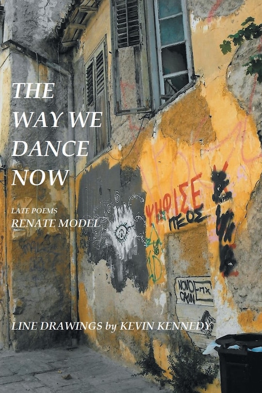 Front cover_The Way We Dance Now