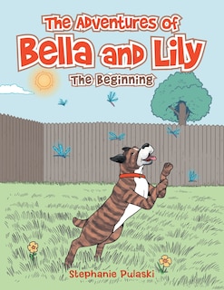 Front cover_The Adventures of Bella and Lily