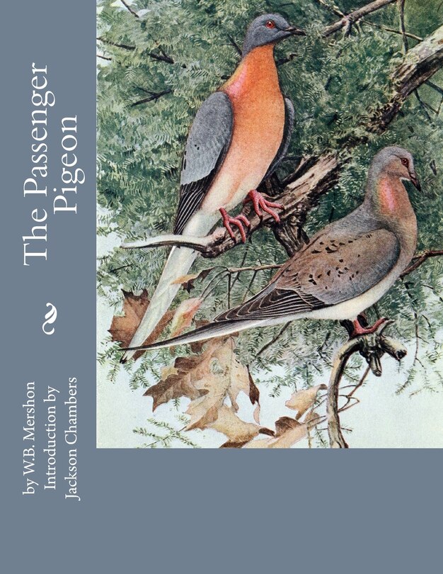 Front cover_The Passenger Pigeon