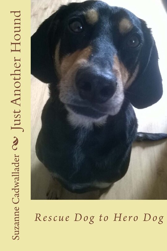 Front cover_Just Another Hound
