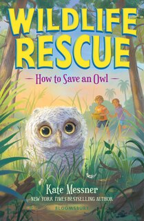 Couverture_How to Save an Owl