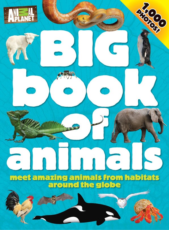 Big Book Of Animals: Meet Amazing Animals From Habitats Around The Globe
