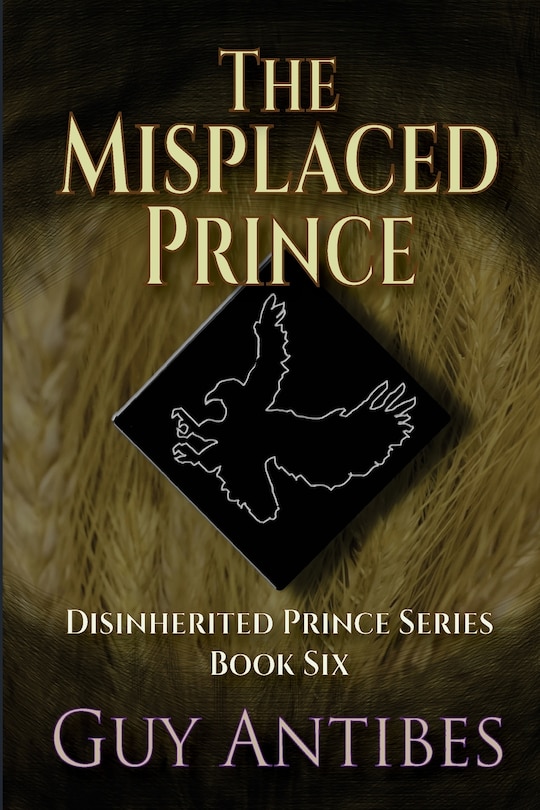 Front cover_The Misplaced Prince