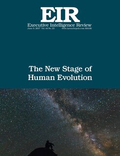 Couverture_The New Stage of Human Evolution