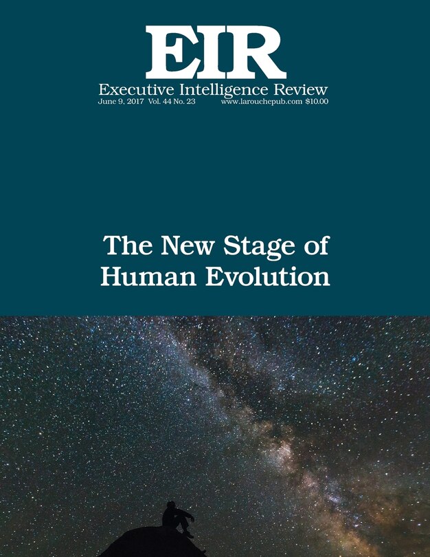 Couverture_The New Stage of Human Evolution