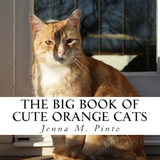 Front cover_The Big Book of Cute Orange Cats