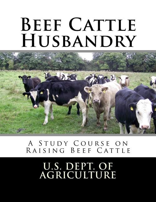 Couverture_Beef Cattle Husbandry