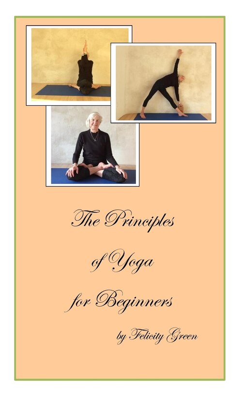 Front cover_The Principles of Yoga for Beginners