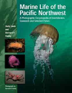 Marine Life Of The Pacific Northwest: A Photographic Encyclopedia Of Invertebrates, Seaweeds And Selected Fishes by Andy Lamb