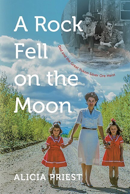 Couverture_A Rock Fell on the Moon
