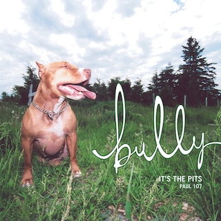 Front cover_Bully