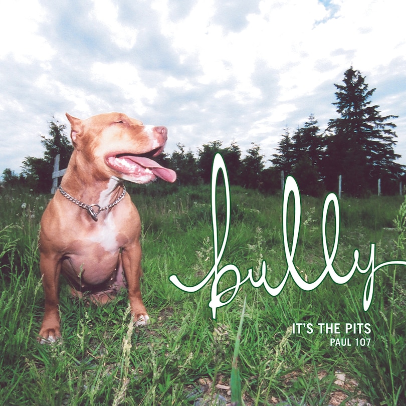 Front cover_Bully