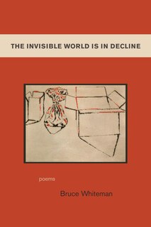 Front cover_The Invisible World Is In Decline