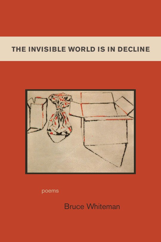 Front cover_The Invisible World Is In Decline