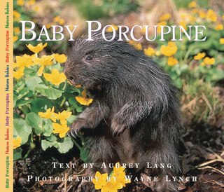 Front cover_Baby Porcupine
