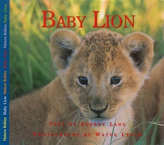Front cover_Baby Lion