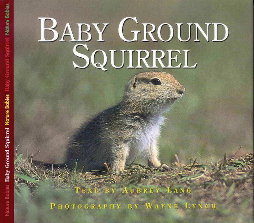 Front cover_Baby Ground Squirrel