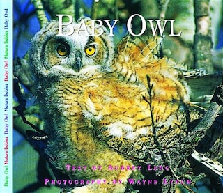Front cover_Baby Owl