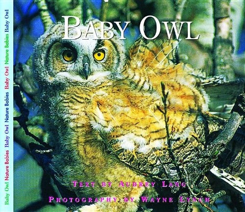 Front cover_Baby Owl