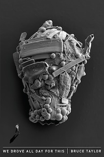 Couverture_We Drove All Day for This