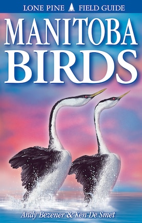 Manitoba Birds