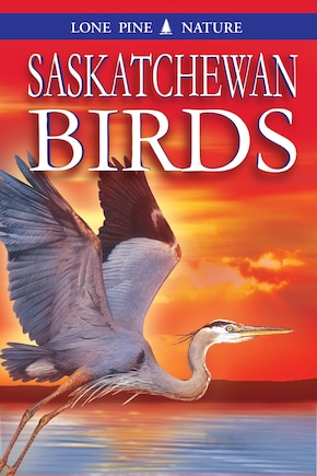 Saskatchewan Birds