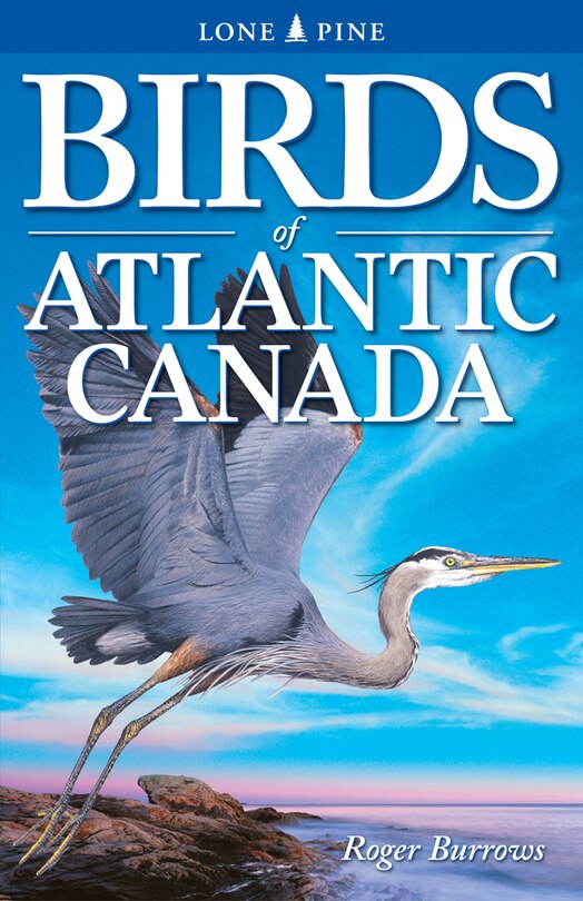 Couverture_Birds of Atlantic Canada
